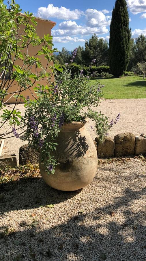 Le Mas Des Pignes -Adults Only Aix-en-Provence Bagian luar foto